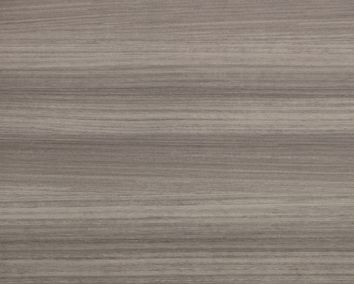 Eucalipto Argento Eucalipto Argento